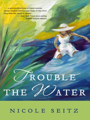 cover image of Trouble the Water